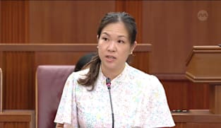 Committee of Supply 2026 debate, Day 1: He Ting Ru on ministerial powers