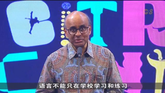 尚达曼：母语维系国人传统和价值观 助塑造多元新加坡身份