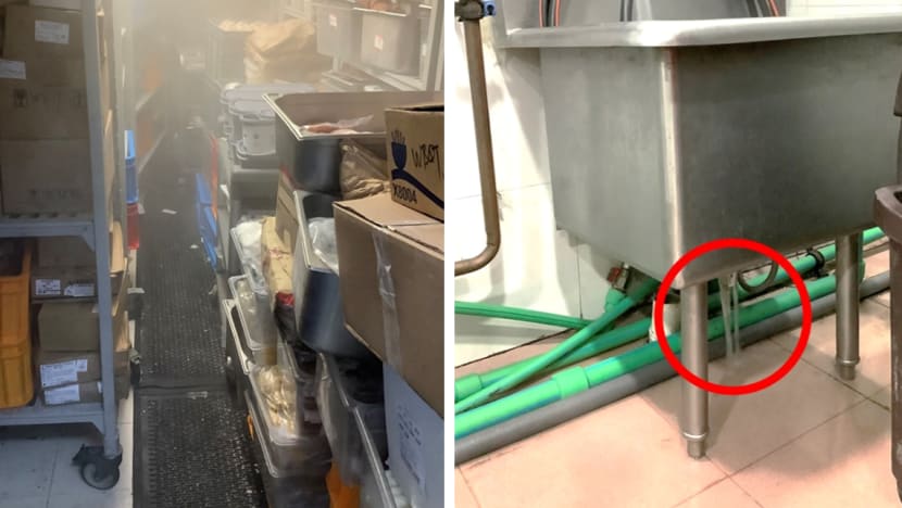 MOM takes 558 firms to task for workplace safety lapses, with stop-work orders and almost S$500,000 in fines meted out