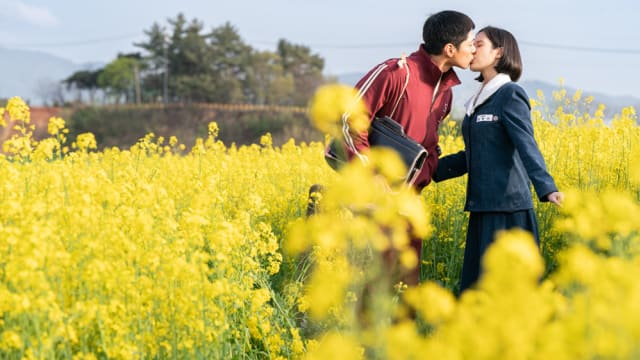 “When Life Gives You Tangerines”怎么了？Netflix和编剧请道歉