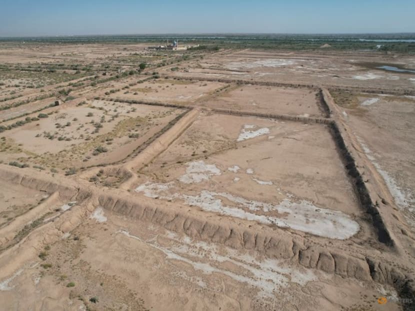Iraq's water crisis drying up fish farming in Basra