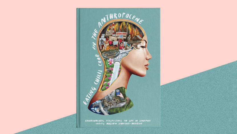 Environment, human activity and chilli crab — a Singapore book by youths explores their links and more