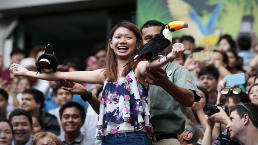 Wistful memories of bird park as move is announced