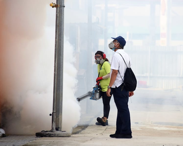 ‘Stay vigilant’ to prevent year-end rise in dengue cases: NEA 