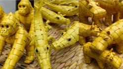 Related article image