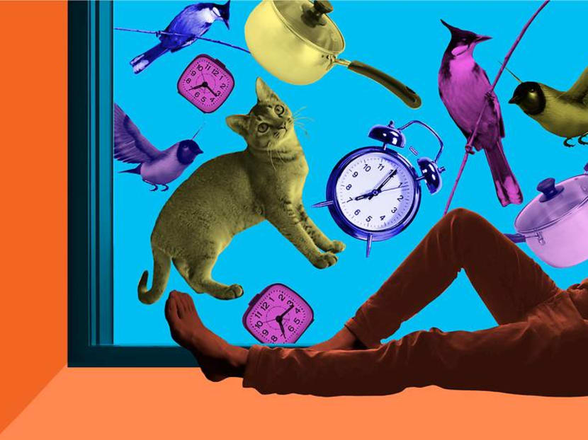 Listening to the sounds of my quiet neighbourhood during circuit breaker