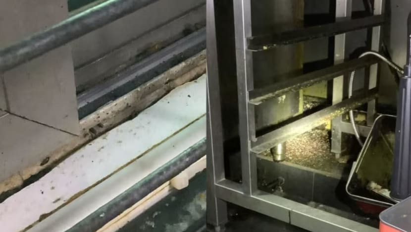 KG Catering gets S$6,000 fine over hygiene lapses such as cockroach, rodent infestations linked to 92 food poisoning cases