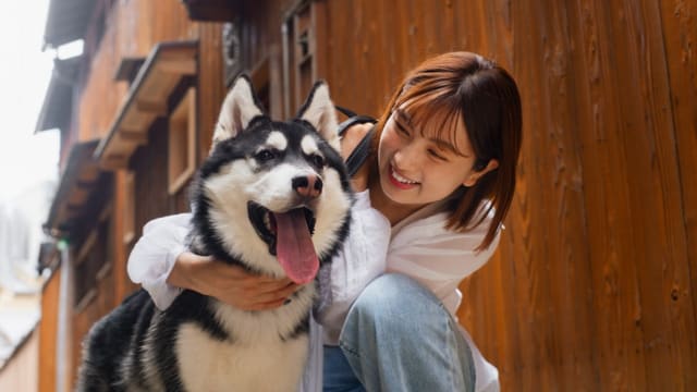台湾女星筠熹遭爱犬咬脸　狗咬主人的5大原因