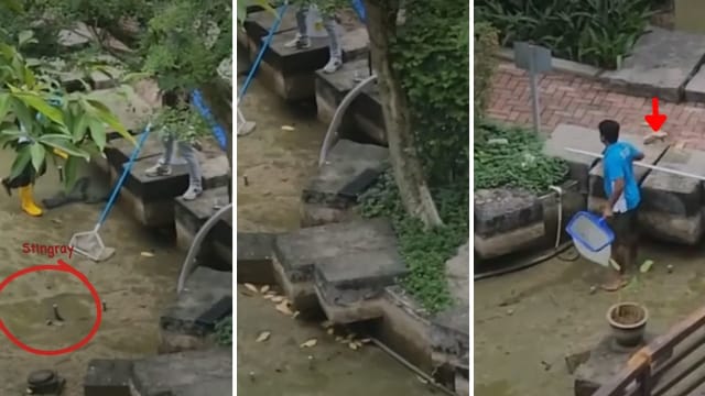 公寓抽干池塘清洗 池底仍有活鱼 公园局展开调查