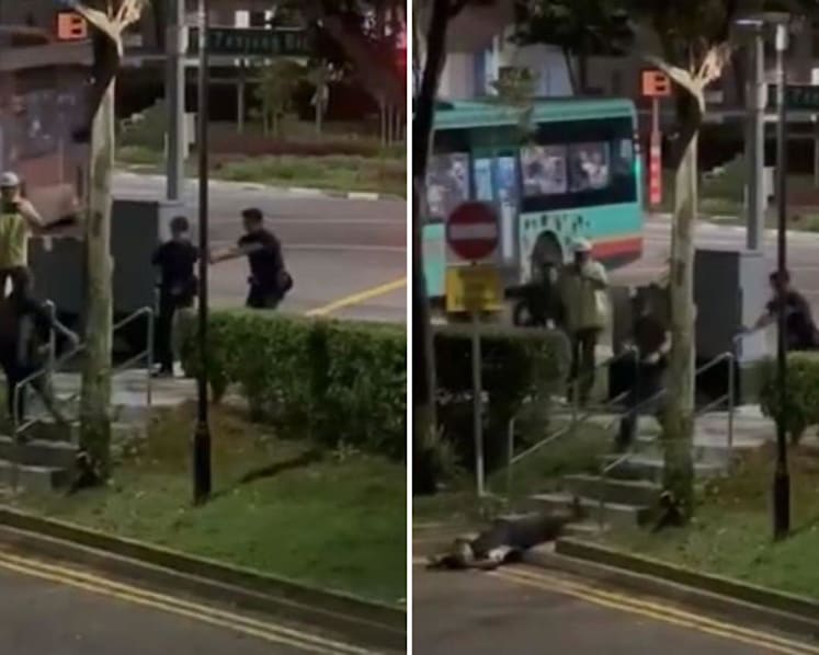 Man tasered, arrested after allegedly assaulting auxiliary police officer with metal bar