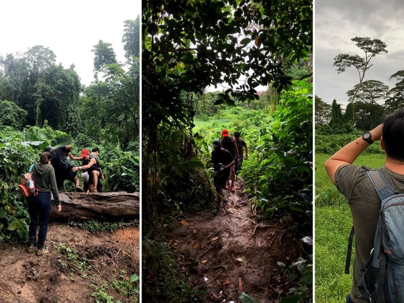 TODAY journalists with nature lovers Brice Li and Raj Bharathi at Clementi Forest on Jan 9, 2021.