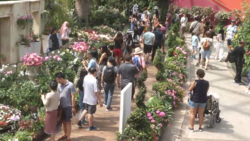 Lebih 16,000 bunga mawar serikan pameran bertemakan cinta di Taman di Pesisiran