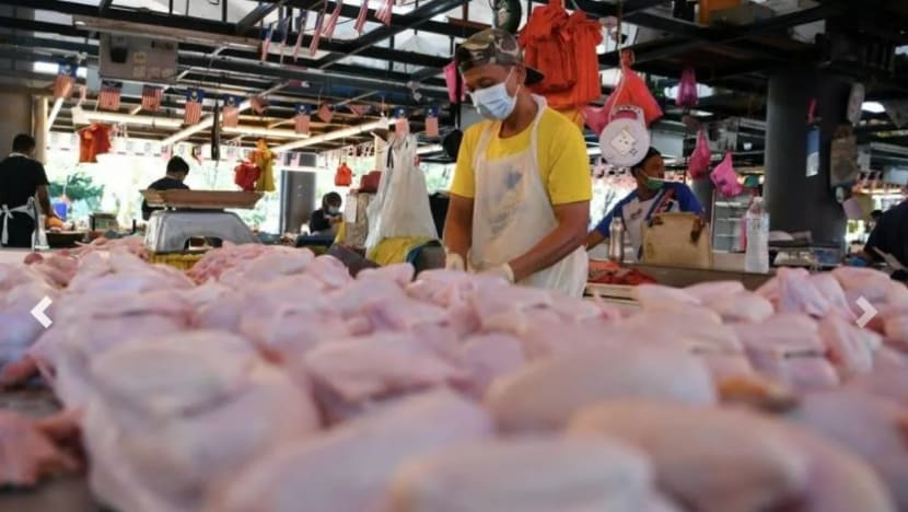 M'sia larang eksport ayam: Apa perlu anda tahu