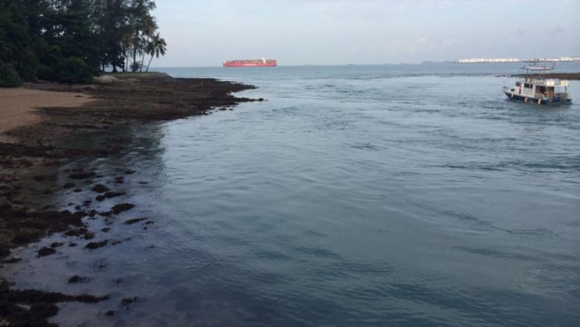 New dive trails ‘could be overwhelming for amateurs’