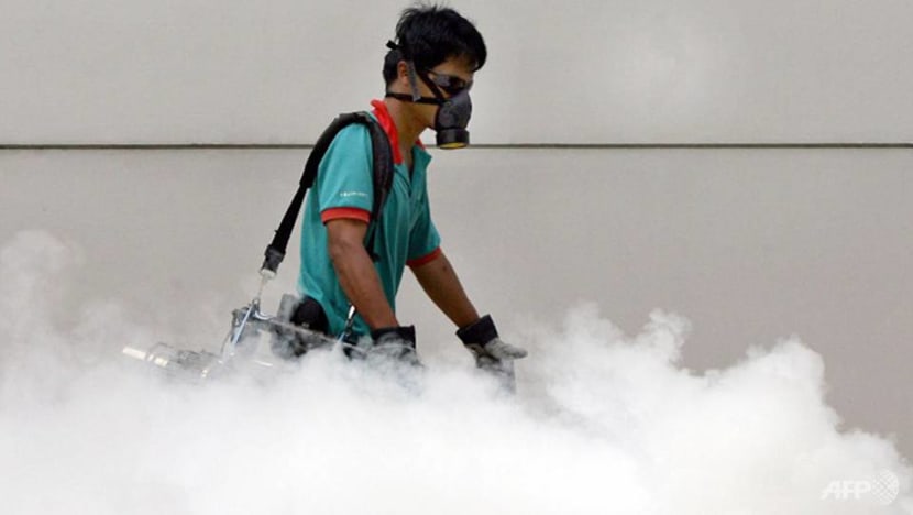 Commentary: Why is there another dengue outbreak in Singapore despite all our efforts? Commentary: Why is there another dengue outbreak in Singapore despite all our efforts?