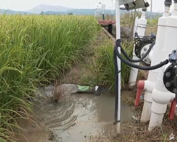 Can technology give China’s farmers an edge against extreme weather? Can technology give China’s farmers an edge against extreme weather?