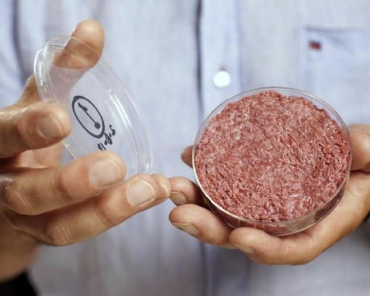 Lab-grown and plant-based meat can help us move towards a more sustainable food system