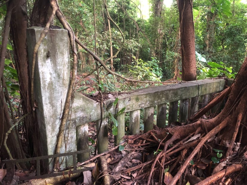 A view of a segment of the forested area where a woman was found unconscious and later died in hospital. Seasoned hikers said that the area was the former site of a village called Kampung Mendoza. 