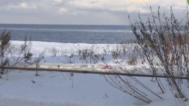 闯北海道铁轨拍照 香港女游客被电车撞倒身亡