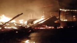 Related article image