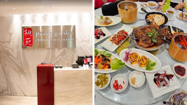 桃苑分店用餐后出现肠胃炎症状 食客：目前身体仍不适