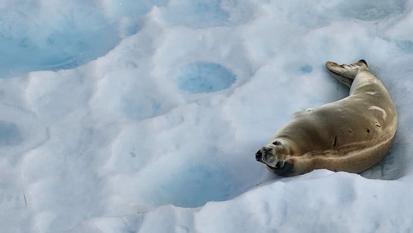 Related article image