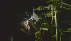 I Am Canlaken - Come With Me Into The Wild