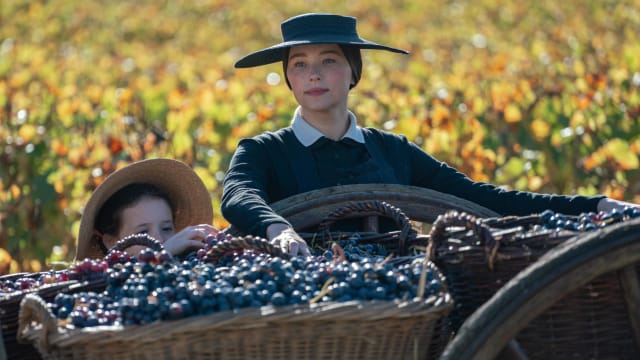新片上映：Widow Clicquot