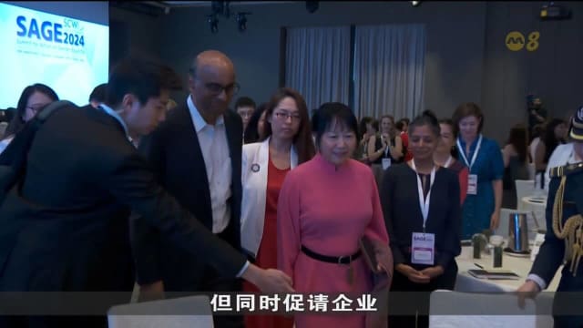 尚达曼总统吁企业支持女性职员 提倡灵活工作制