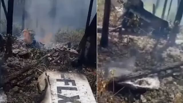巴哈马庆祝独立53周年之际发生坠机事故 十人死亡