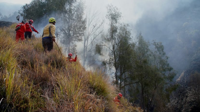 Gunung Bromo kembali dibuka usai karhutla, kuota 2.752 wisatawan per hari