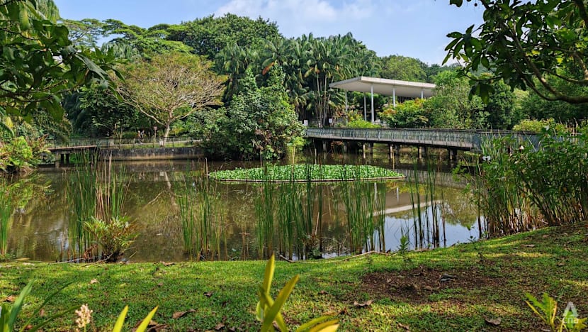 Parts of Sungei Buloh could flood by design under coastal protection plans for northwest Singapore
