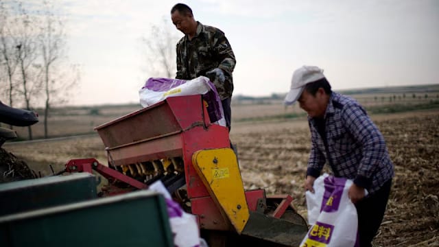 联合国警告中东战事将推高粮价 并干扰农作物产量