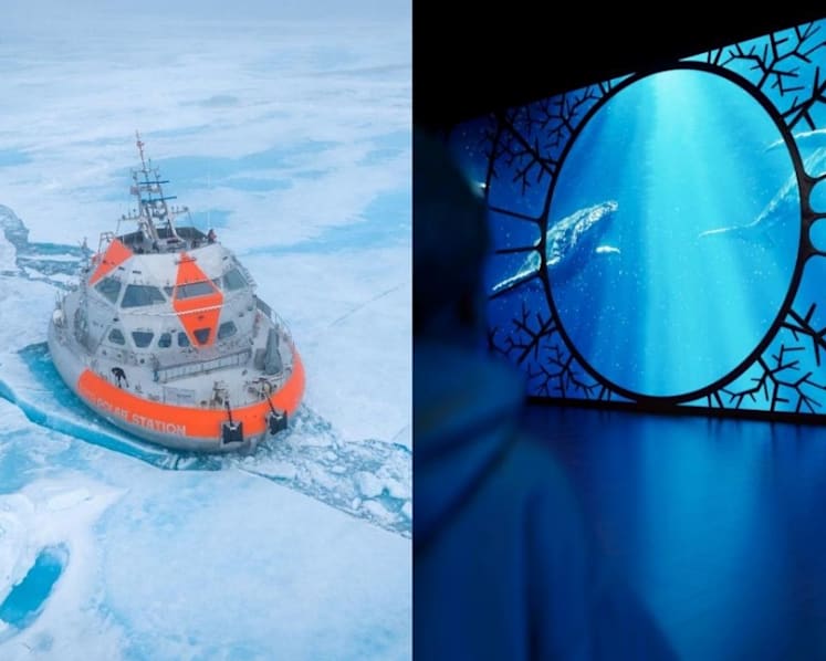 Science Centre Singapore to debut immersive ocean exhibition One Ocean: Every Action Ripples