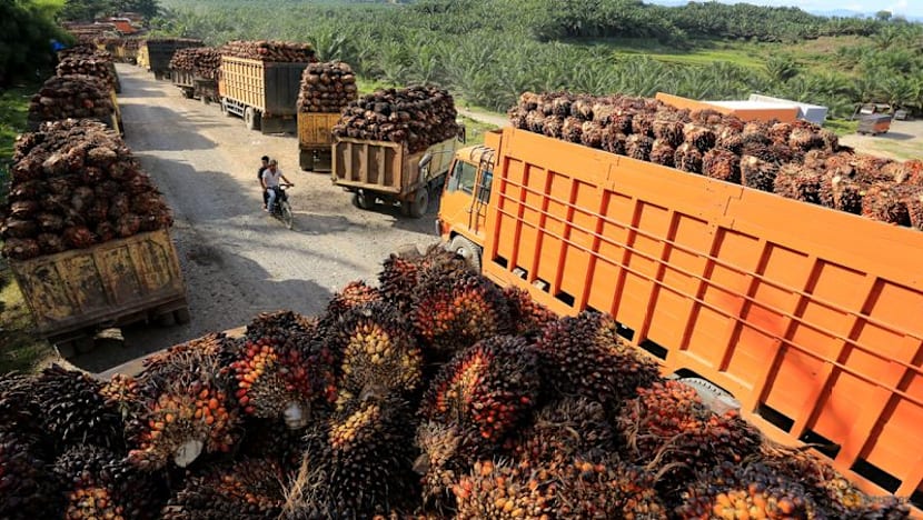 Middle East conflict could spur palm oil demand from biodiesel sector