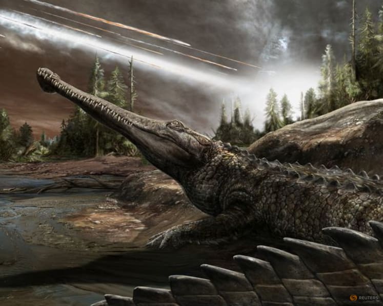 An affinity for warm climes has helped crocs thrive for eons