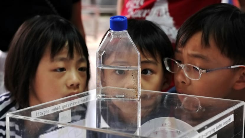 As dengue infections double, NEA brings forward campaign to fight scourge
