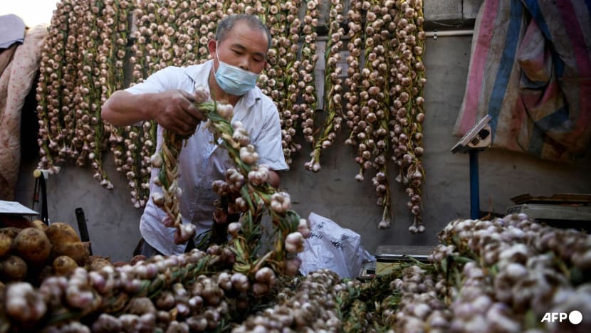 China says US politicians need to be more rational after senator's call for garlic probe China says US politicians need to be more rational after senator's call for garlic probe