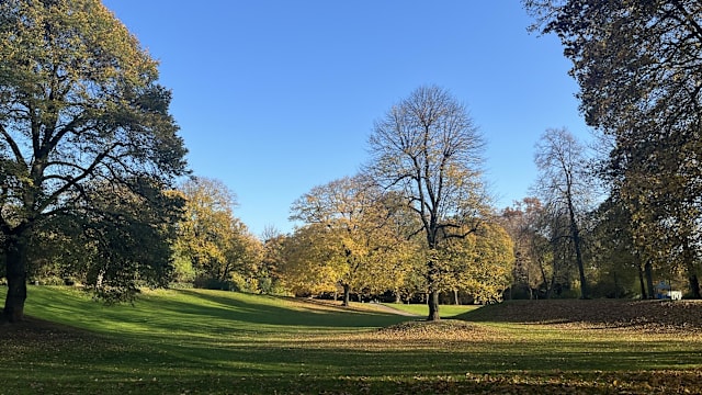 【城市呼吸｜彭菲菲】与城市一同呼吸