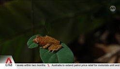 NParks launches first e-publication detailing Pulau Ubin's biodiversity 