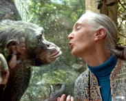 Jane Goodall: Five things about the life and legacy of the world's chimpanzee expert