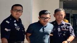 Related article image