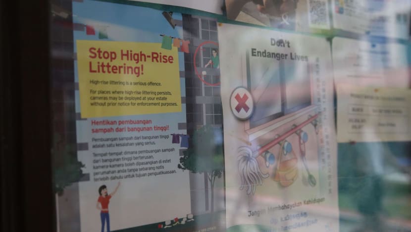 Man who allegedly threw shoe rack, kick scooters from Jurong West block to be charged  