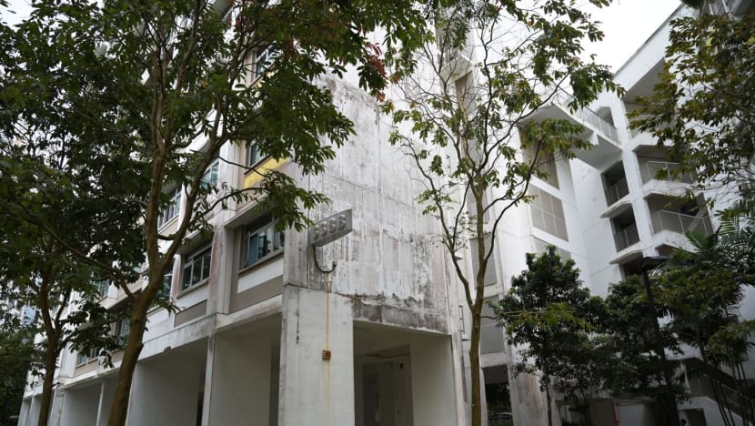 HDB conducting study on cause of mould growth at Sengkang, Punggol flats