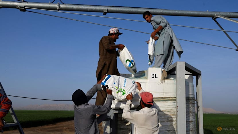 UAE fertiliser giant warns of global food impact as it turns to trucks to bypass Hormuz