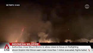 Indonesia closes Mount Bromo National Park due to spreading wildfire