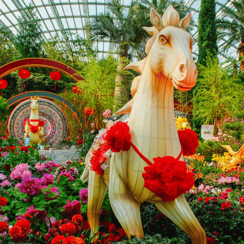 农历新年11个走春好去处，让你马不停蹄玩透透！