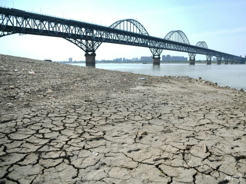 Commentary: Ignoring China&rsquo;s disastrous &lsquo;three Ds&rsquo; could be a global risk