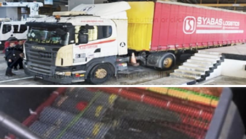 Pet shop owner linked to Singapore's largest bird-smuggling operation gets jail