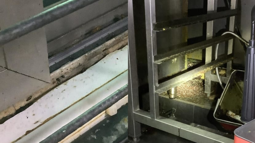KG Catering fined S$6,000 over hygiene lapses such as cockroach, rodent infestations